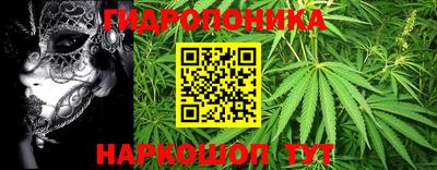 COCAINE Можга