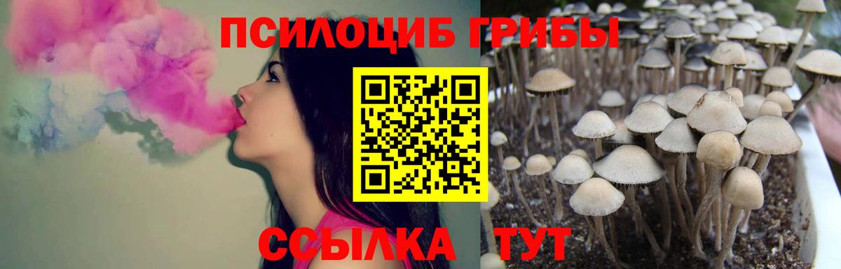 Галлюциногенные грибы мицелий Россия