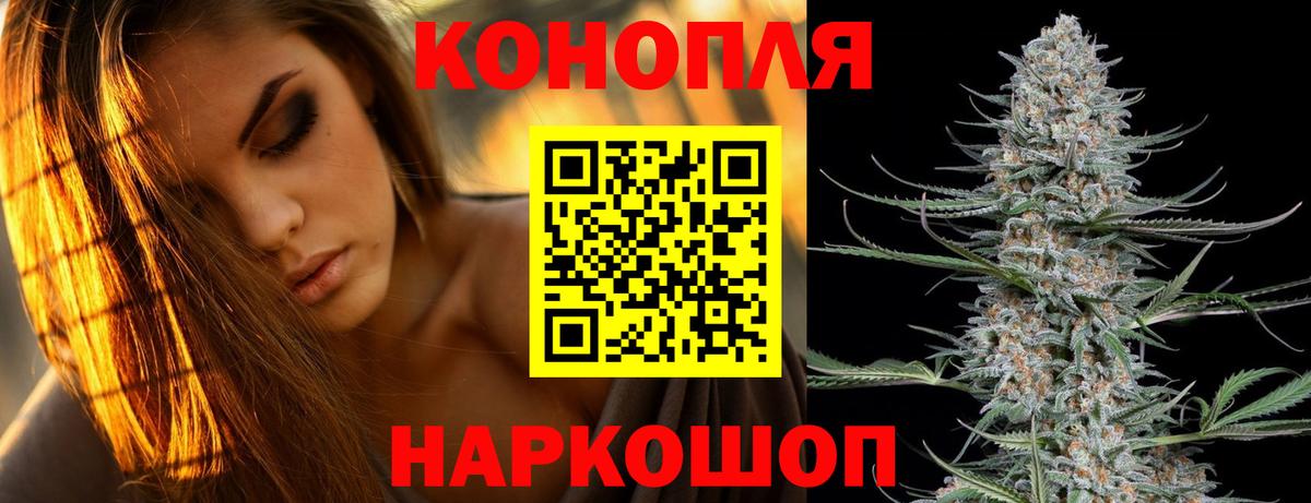 Россия  Канабис ГИДРОПОН  Бошки Шишки Bruce Banner  Вход с VPN 